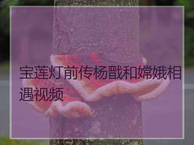 宝莲灯前传杨戬和嫦娥相遇视频