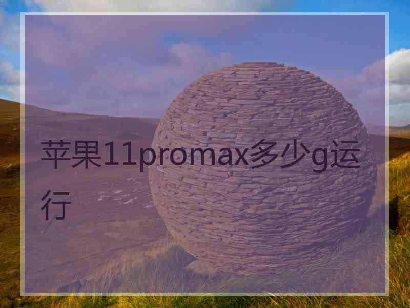 苹果11promax多少g运行