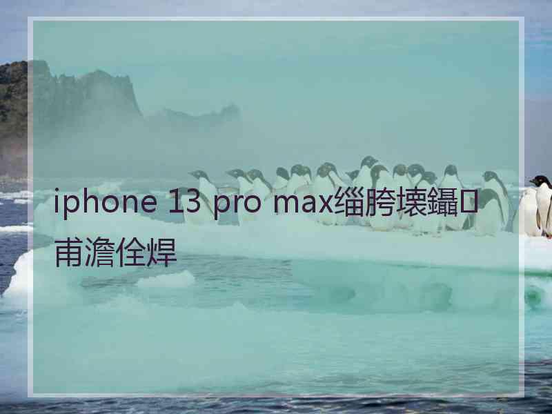 iphone 13 pro max缁胯壊鑷甫澹佺焊