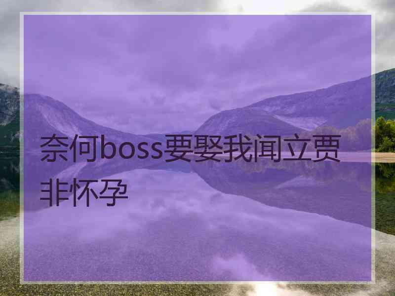 奈何boss要娶我闻立贾非怀孕