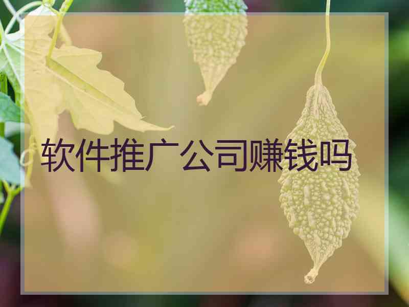 软件推广公司赚钱吗