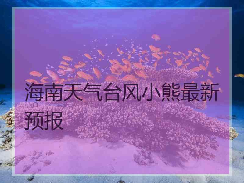 海南天气台风小熊最新预报