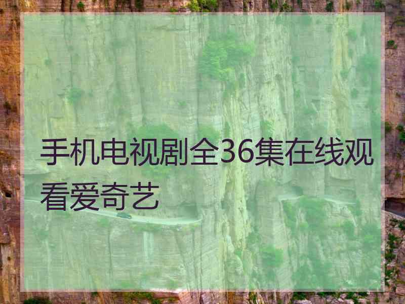 手机电视剧全36集在线观看爱奇艺