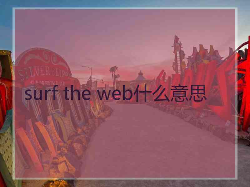 surf the web什么意思