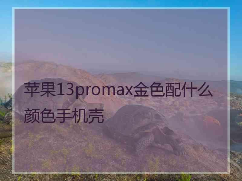 苹果13promax金色配什么颜色手机壳