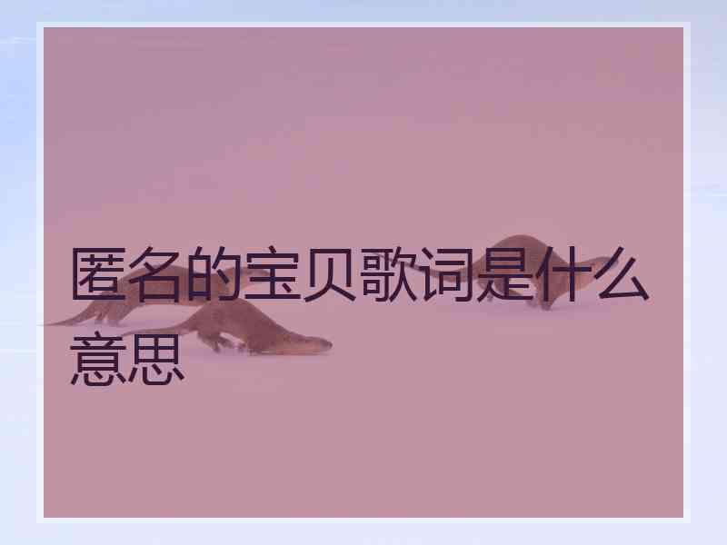 匿名的宝贝歌词是什么意思