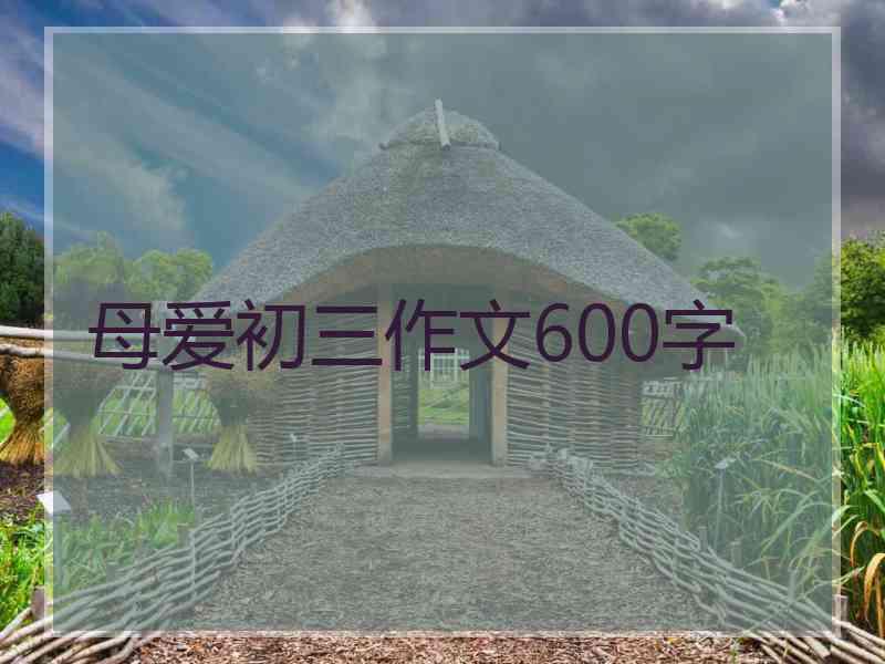 母爱初三作文600字