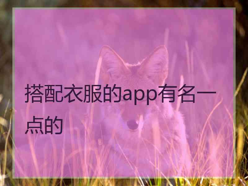 搭配衣服的app有名一点的