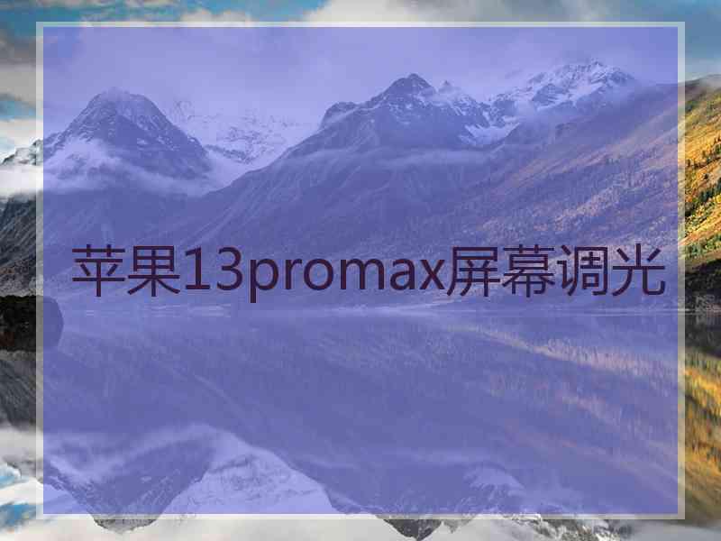 苹果13promax屏幕调光