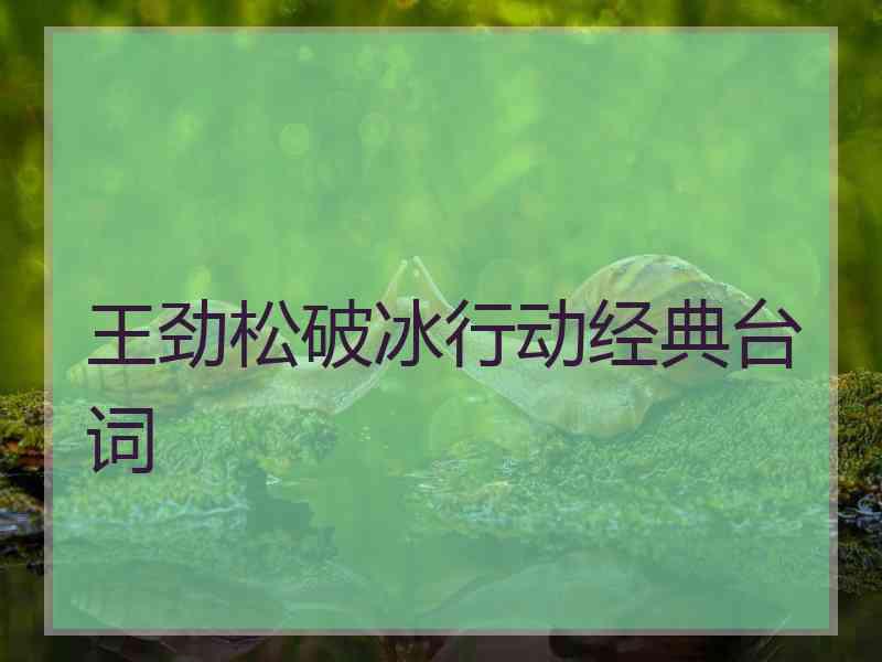 王劲松破冰行动经典台词