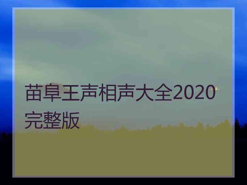 苗阜王声相声大全2020完整版