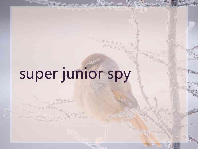 super junior spy