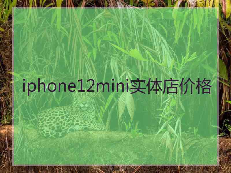 iphone12mini实体店价格