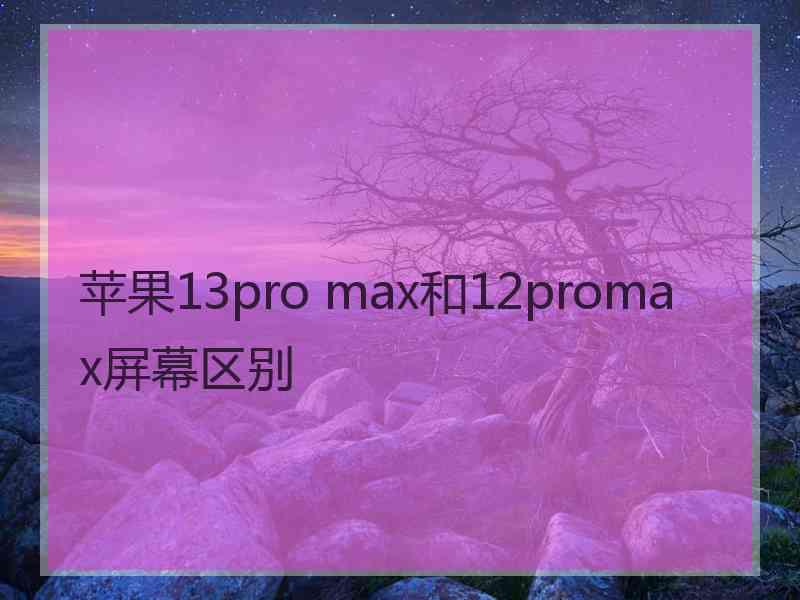 苹果13pro max和12promax屏幕区别