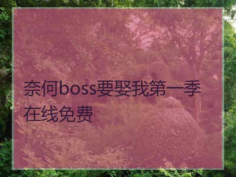 奈何boss要娶我第一季在线免费