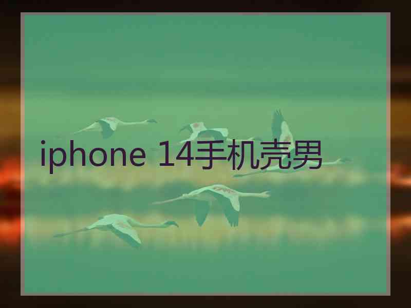 iphone 14手机壳男