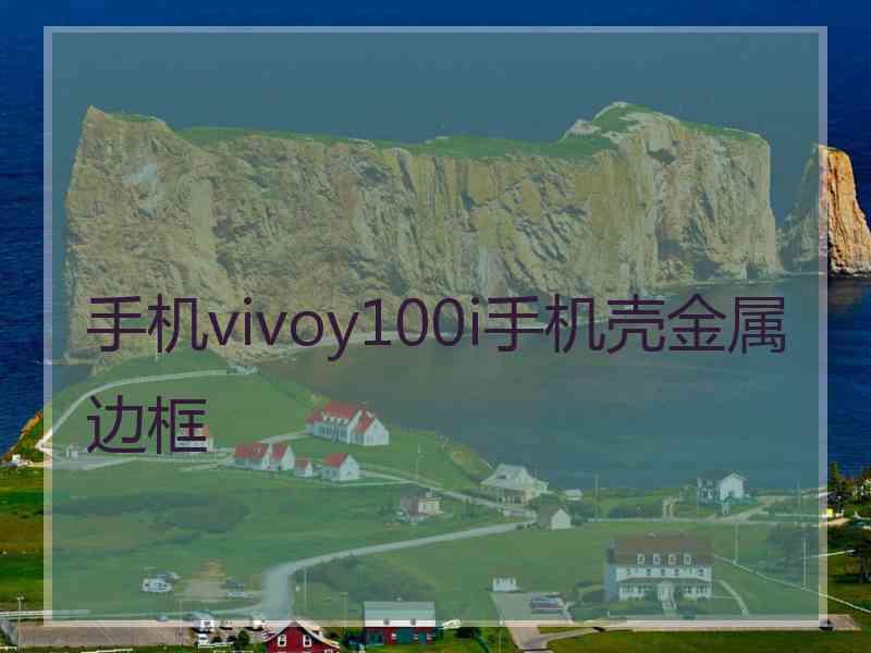 手机vivoy100i手机壳金属边框