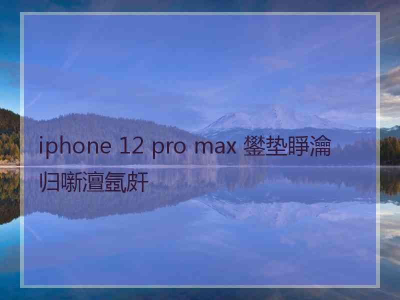 iphone 12 pro max 鐢垫睜瀹归噺澶氬皯