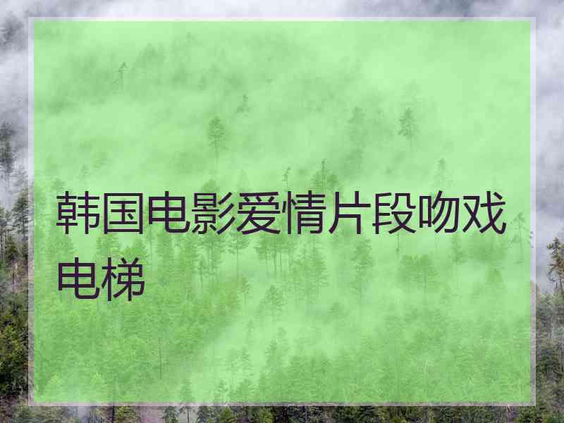 韩国电影爱情片段吻戏电梯