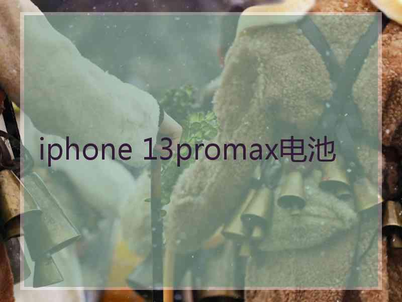 iphone 13promax电池