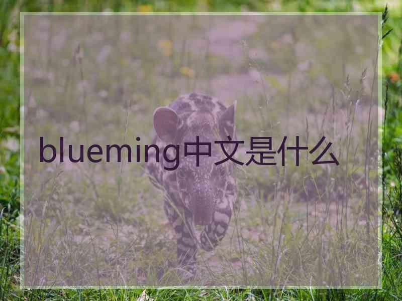 blueming中文是什么