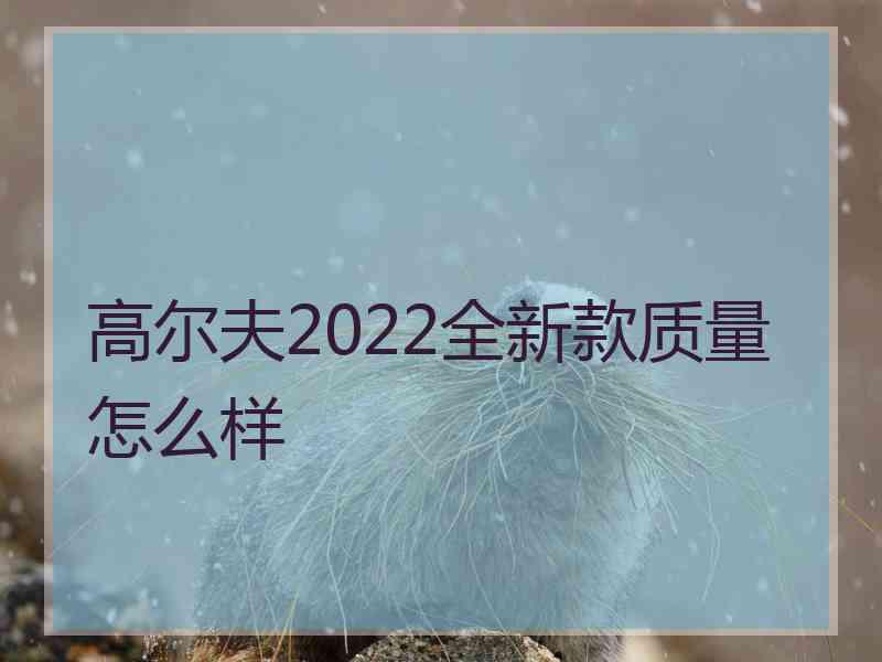 高尔夫2022全新款质量怎么样