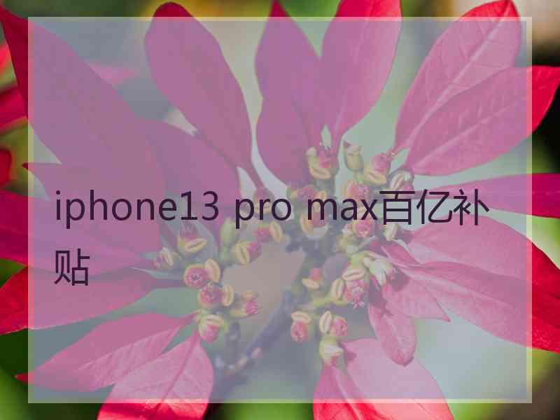 iphone13 pro max百亿补贴