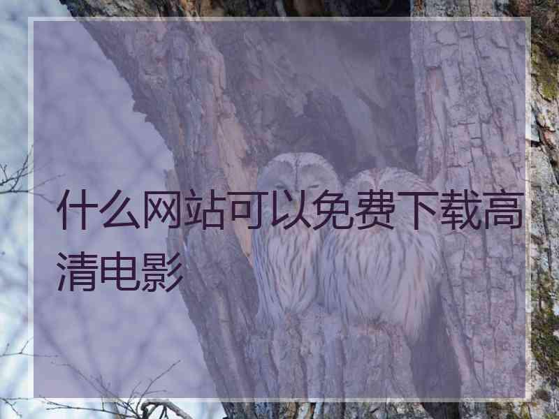 什么网站可以免费下载高清电影