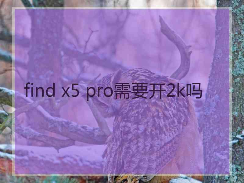 find x5 pro需要开2k吗