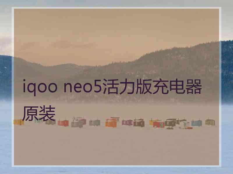 iqoo neo5活力版充电器原装