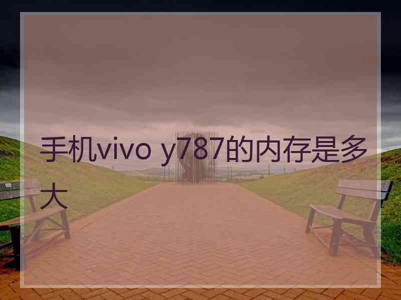 手机vivo y787的内存是多大