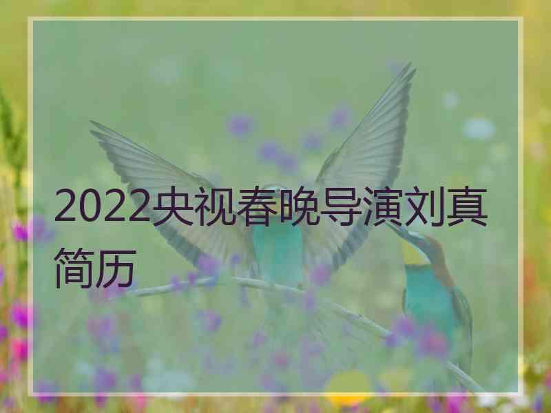 2022央视春晚导演刘真简历