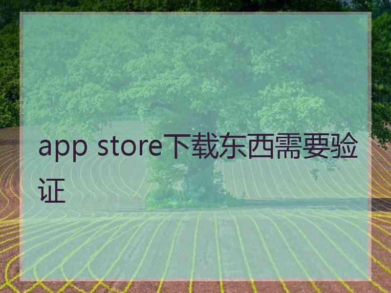 app store下载东西需要验证