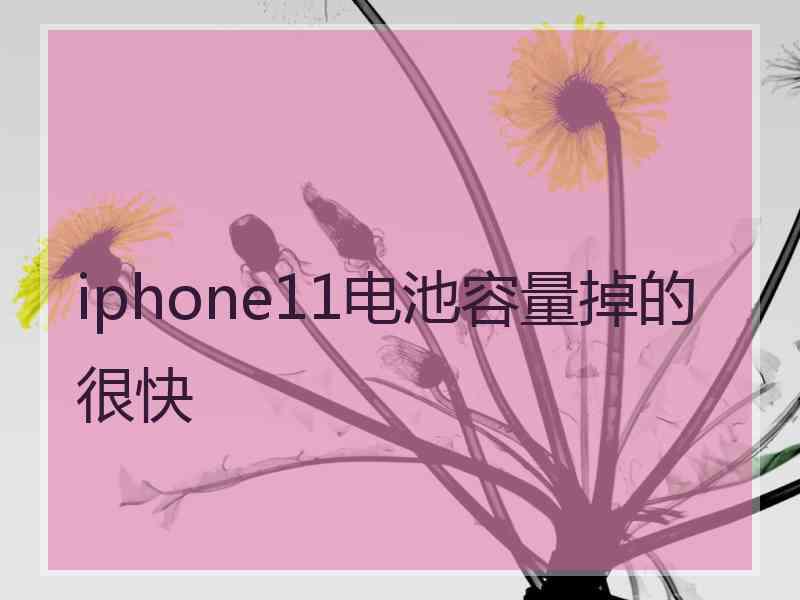 iphone11电池容量掉的很快