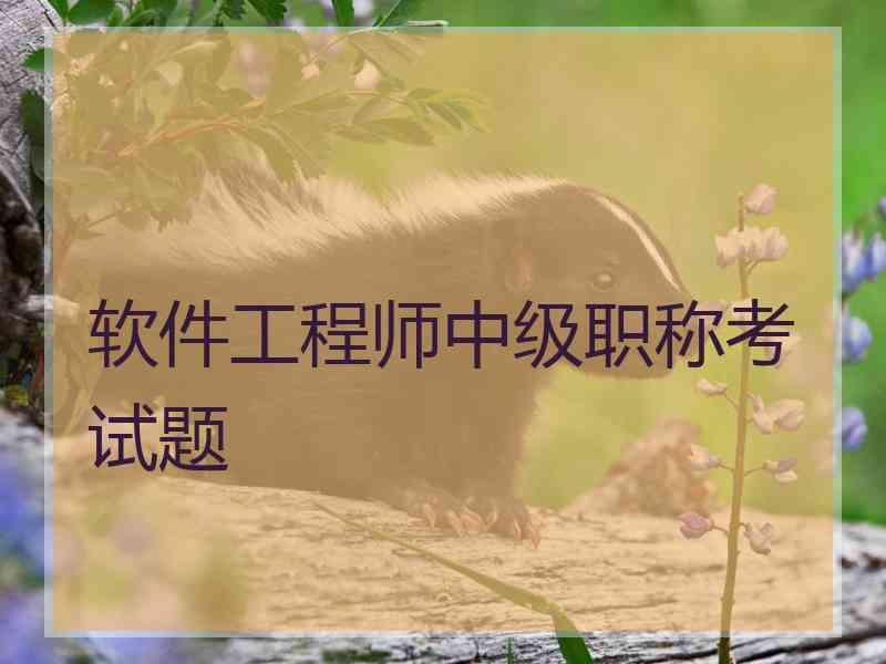 软件工程师中级职称考试题