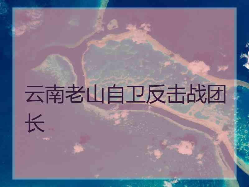 云南老山自卫反击战团长