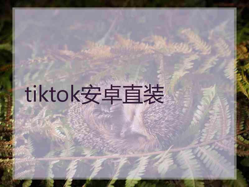 tiktok安卓直装