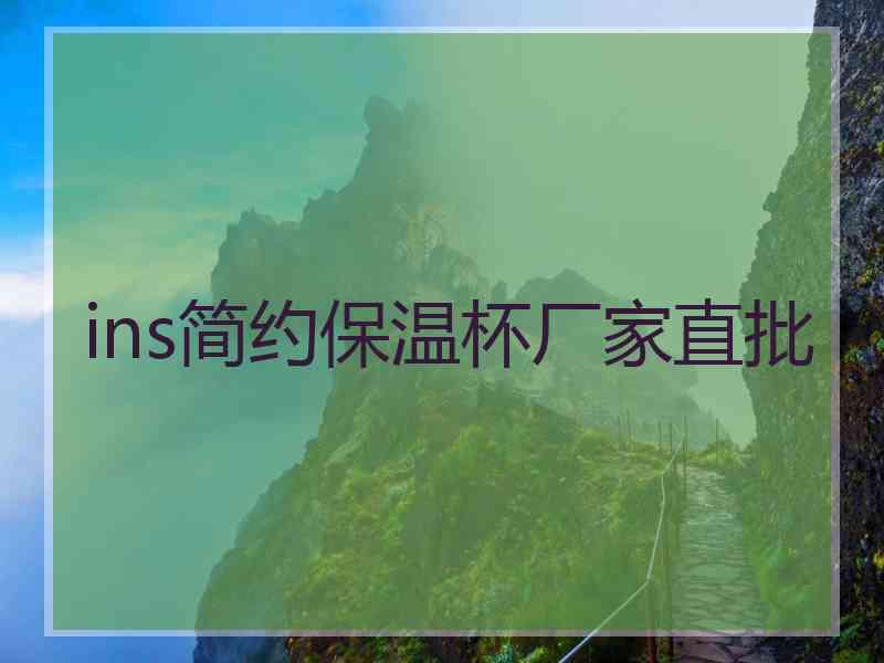 ins简约保温杯厂家直批