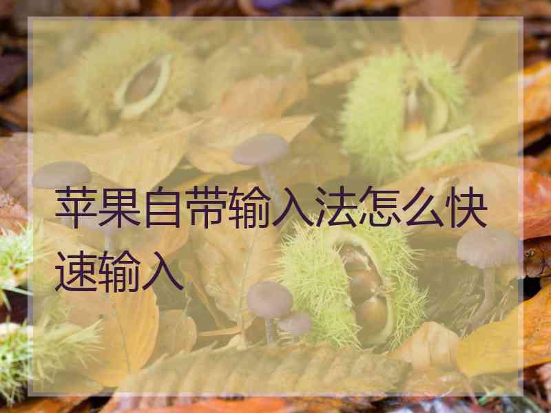 苹果自带输入法怎么快速输入