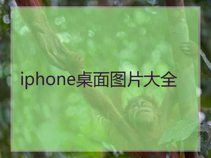 iphone桌面图片大全