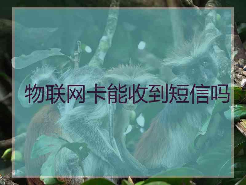 物联网卡能收到短信吗