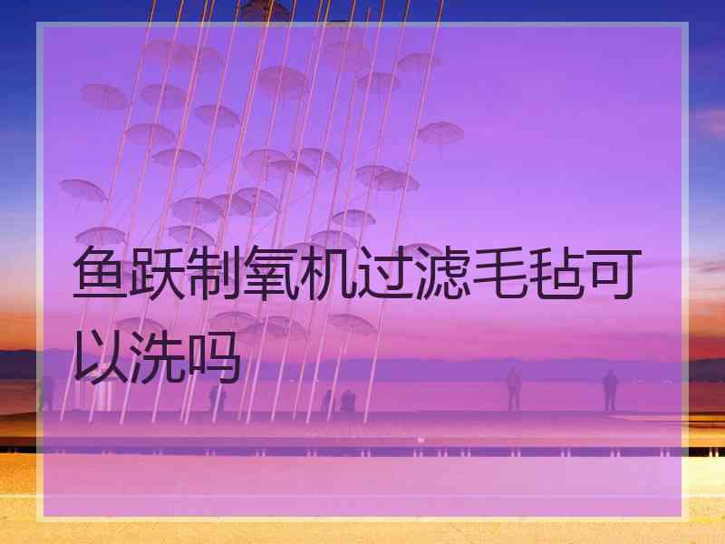 鱼跃制氧机过滤毛毡可以洗吗