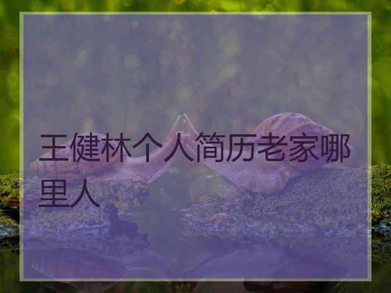 王健林个人简历老家哪里人