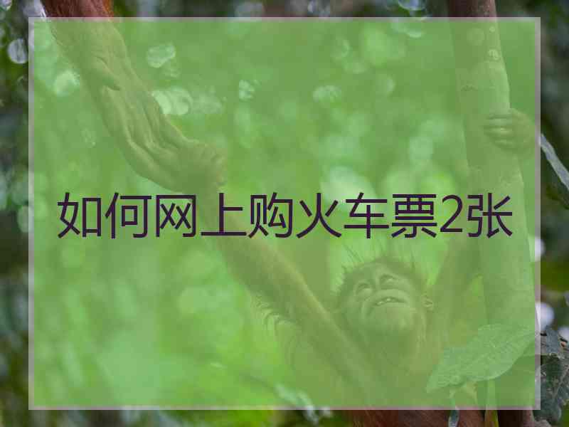 如何网上购火车票2张