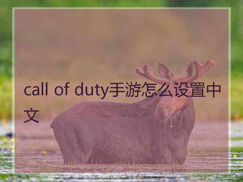 call of duty手游怎么设置中文