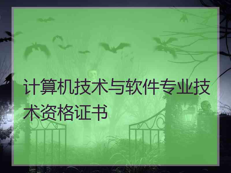 计算机技术与软件专业技术资格证书