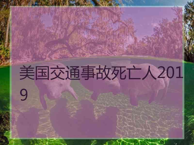 美国交通事故死亡人2019