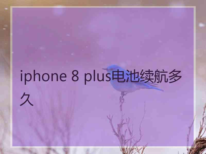 iphone 8 plus电池续航多久