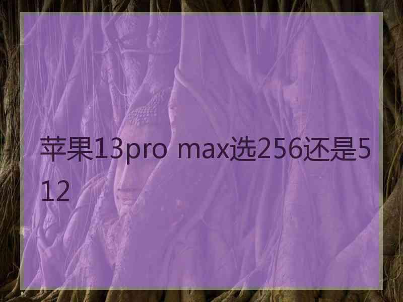 苹果13pro max选256还是512