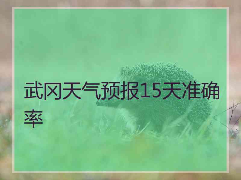 武冈天气预报15天准确率